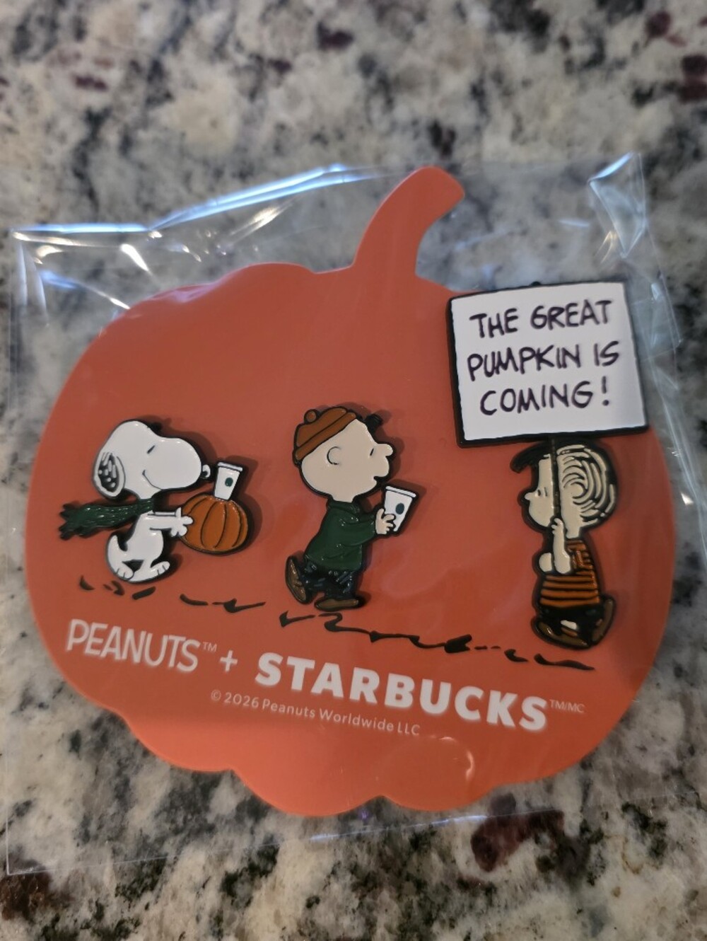 Starbucks Peanuts Pumpkin Pin Set in Orange and Green